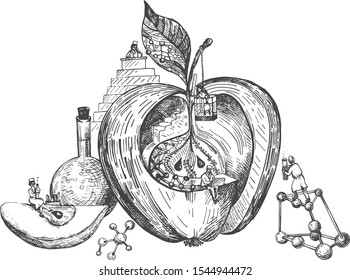 Ilustración vectorial de manzana transgénica. Los científicos están modificando los alimentos de frutas en el laboratorio. Experimentos moleculares genéticos. Estilo dibujado a mano de Antiguas.