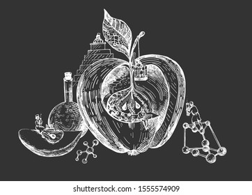 Vector illustration of GMO apple. Scientists are modifying fruit food in lab. Genetic molecular experiments. Vintage hand drawn style on black