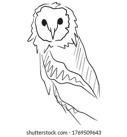 Vektorgrafik eines guten Designs von Eule-Vogel, Symbol, Skizze, Hintergrundmuster, Verwendung in Druck, handgezeichnet