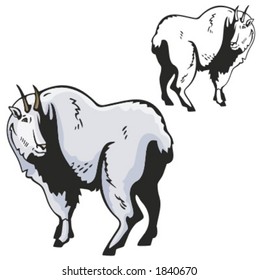 Vector illustration of a goat.
