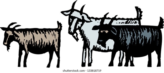 Vector illustration of goat gruff