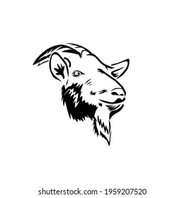 vector illustration goat head. drawn head of goat