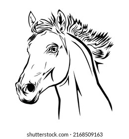 vector illustration goat head. drawn head of goat