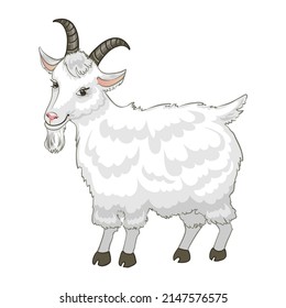 Vector illustration of goat, isolated on white