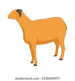 Ilustração vetorial de cabra. Isolado em um fundo branco. Animais de criação
