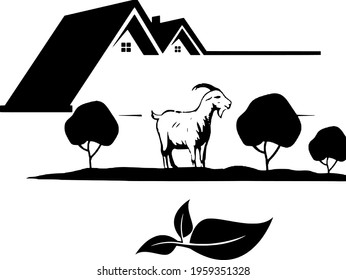 The Vector of illustration the goat occurring in the desert of farming house