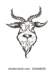 Vector Illustration Goat S Head Horns Stock Vector (Royalty Free ...