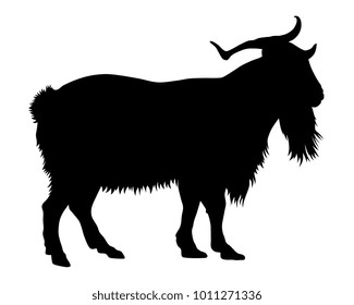 Vector illustration of goat silhouette