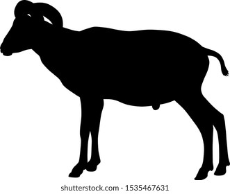 Vector illustration of goat silhouette