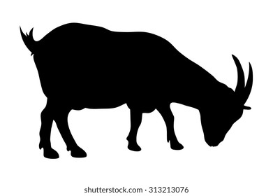 Vector illustration of goat silhouette
