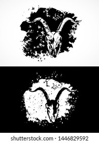 Vector illustration with goat skulls. Two variants: black and white silhouettes with grunge texture and spots. For t-shirts, posters and other your design.