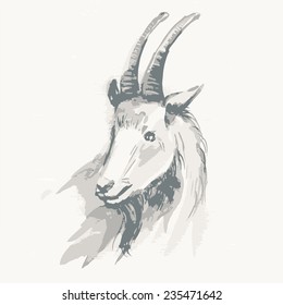 Vector illustration of goat, symbol of New Year. Watercolor (hand draw). Year of the goat.