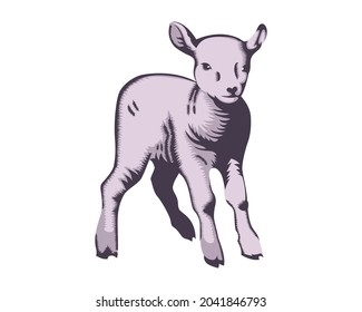 Vector illustration of goat in vintage style isolated on white background.