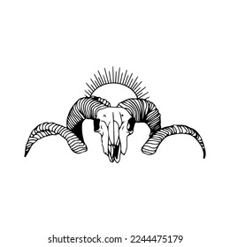 vector illustration of a goat's skull