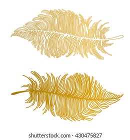 vector illustration of gold Boho feathers.