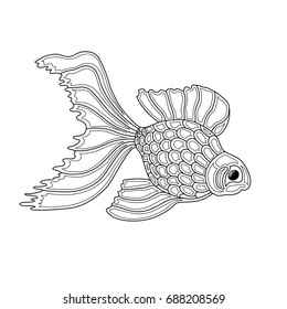 Vector illustration of gold fish. Line art design