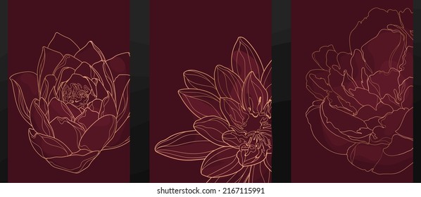 vector illustration gold flower on dark red background 