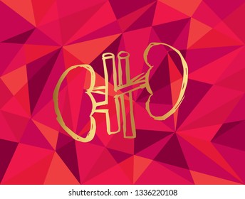 Vector Illustration of Gold Kidney Icon with Red Polygon and Geometric. Graphic Design for Template, Layout, Background, Poster and More.