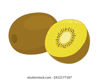 Vector illustration of gold kiwi fruit