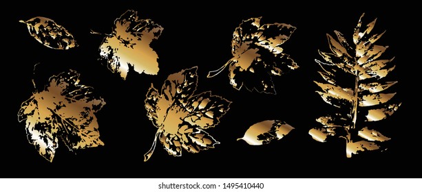 Vector illustration of gold leaves on a black background. Collection of autumn leaves.