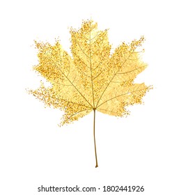 Vector illustration of gold maple leaf with sand texture isolated on the white background. Floral element for autumn design.