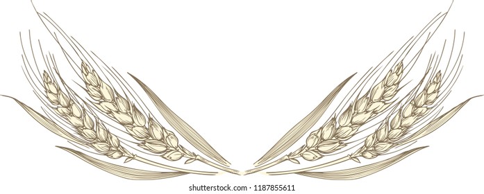 Vector illustration of gold ripe wheat ears. Can be used as frame, corner or border design element. 
