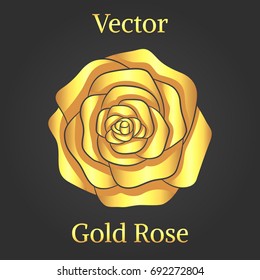 Vector illustration of a gold rose. Golden flower for your design. 