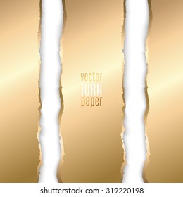 Vector illustration Gold torn paper. Template background