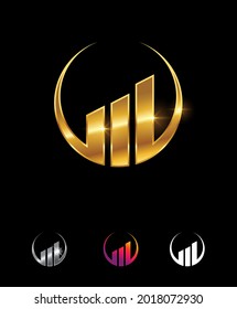 A Vector Illustration of Golden Business Finance Premium Company Logo in black background with gold shine effect fro luxury and royal logo