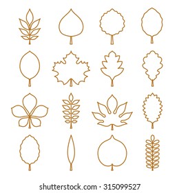 Vector illustration: golden contours of tree leaves (elm, beech, ash, linden, birch, alder, aspen, willow, maple,  poplar, rowan, hawthorn, walnut, chestnut, conker etc.) isolated on white background