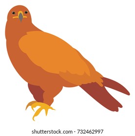 Vector Illustration of a Golden Eagle