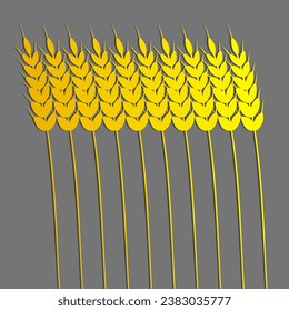 Vector illustration - golden ears of wheat on a gray background. Wheat harvest. Grain crop
