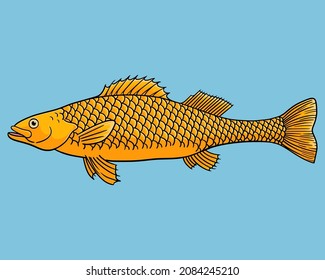 Vector illustration of golden fish