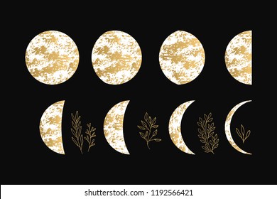 Vector illustration of golden moon and crescent with glitter fancy herbs.