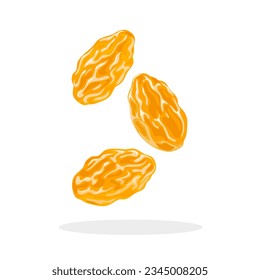 Vector illustration, golden raisins, isolated on white background.