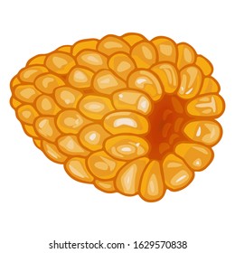 Vector illustration of golden raspberry isolated on white background