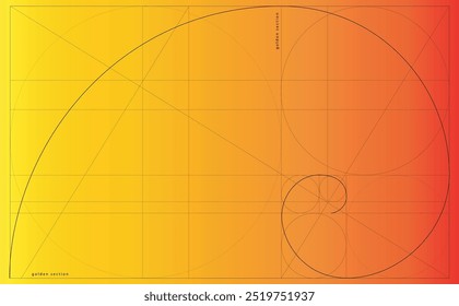 Ilustração vetorial da proporção dourada