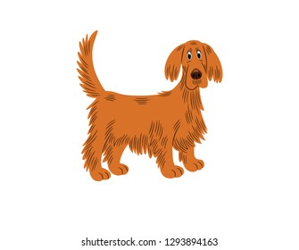 Vector illustration of a golden retriever breed dog, cartoon style.