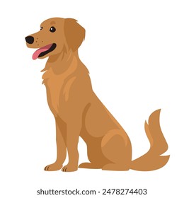 Una Ilustración vectorial de un perro golden retriever sentado con la lengua afuera, mirando hacia la izquierda. El perro tiene un pelaje marrón y un fondo blanco.