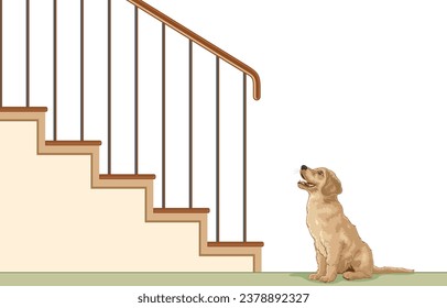 Vector illustration of golden retriever puppy looking up stairs while sitting on floor,curious puppy playing at home,isolated on white.Watchdogs,cute, intelligent,mischievous,loyal pets,good friends.