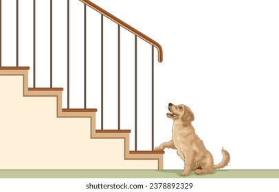 Vector illustration of golden retriever puppy looking up stairs while lifts front legs up to first step of stairs,climbing up stairs,isolated on white.intelligent,mischievous,loyal pets,good friends.