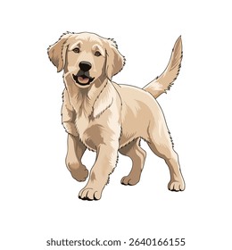 Vector illustration of a golden retriever puppy isolated in white