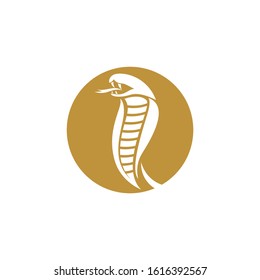 Vector illustration of golden snake, app icon, business logo