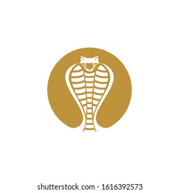 Vector illustration of golden snake, app icon, business logo