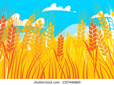 vector illustration of a Golden wheat field against a blue sky