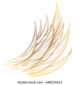 Vector illustration of golden wing, isolated on white background. Design element for emblem, sign, vintage style posters and more.
