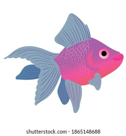 Vektorgrafik eines Goldfisch. Kinderillustration für ein Haustier. Aquarienfische sind hell.
