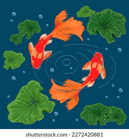 Ilustración vectorial con peces dorados.Peces dorados y vegetación acuática sobre un fondo coloreado en ilustración vectorial.