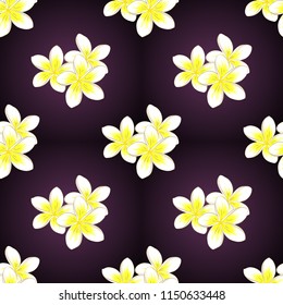 Vector illustration good for the interior design, printing, web and textile design. Seamless texture of floral ornament in purple, brown and white colors. Optical illusion with plumeria flowers.