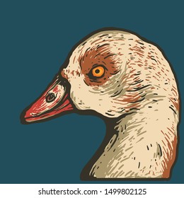 Vector illustration of goose head in drawing style